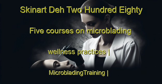 Skinart Deh Two Hundred Eighty Five courses on microblading wellness practices | MicrobladingTraining | MicrobladingClasses | SkinartTraining-Pakistan